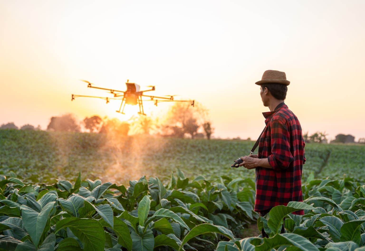 Drone İle Tarımsal İlaçlama.