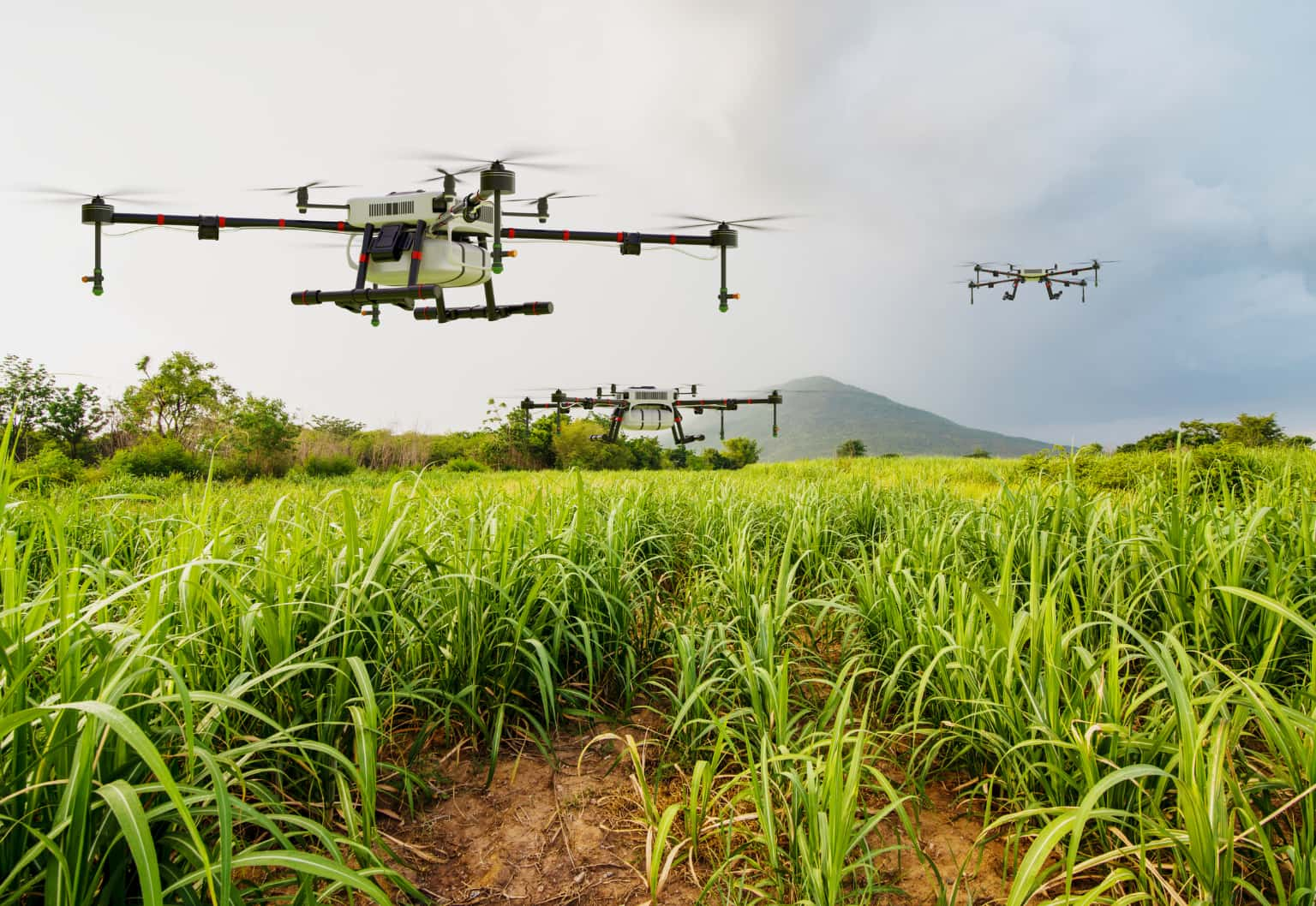 7 Soru ile Tarım'da Drone Kullanımı.