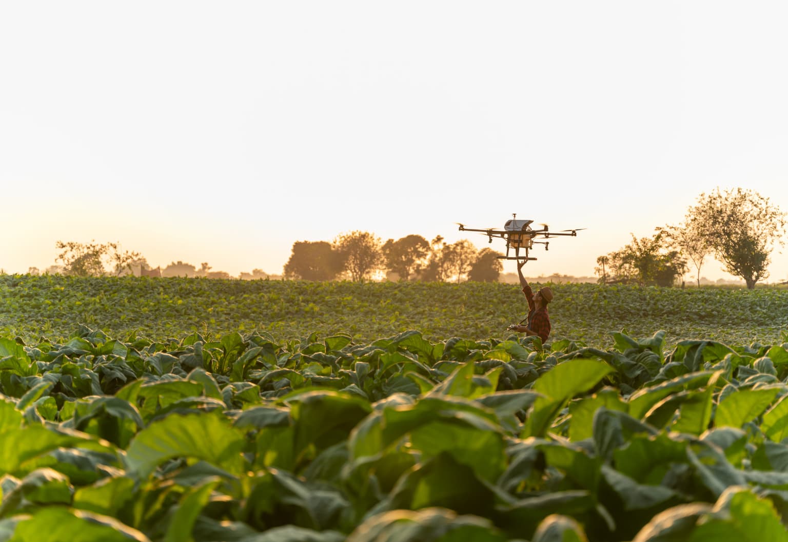 Drone Tarım Verimliliği.