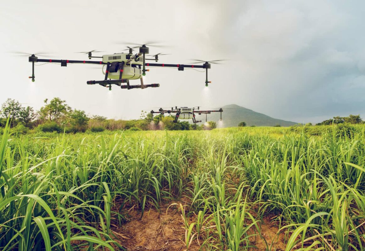 DJI Mavic 3 Multispectral ile Hassas Tarım: Teknik Bir İnceleme