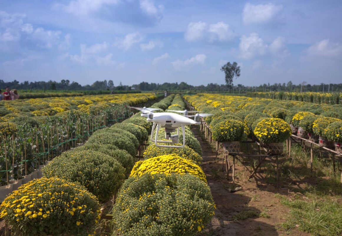 Drone İle Bitki Örtüsü İndeksleri Nasıl Ölçülür?